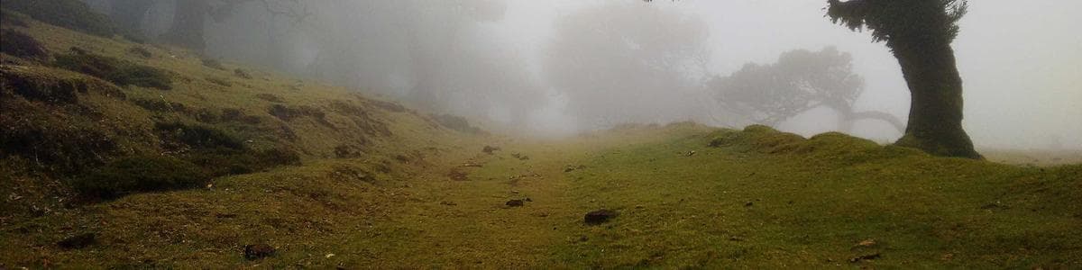 Baalvion Inc. banner