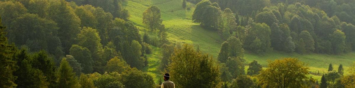 Ivy Innovator's banner